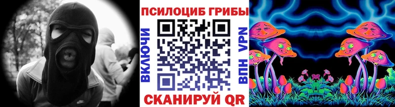 Галлюциногенные грибы MAGIC MUSHROOMS  продажа наркотиков  Колпашево 